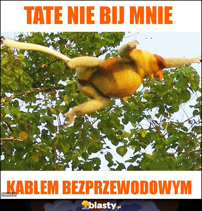 Tate nie bij mnie Tate nie bij mnie
