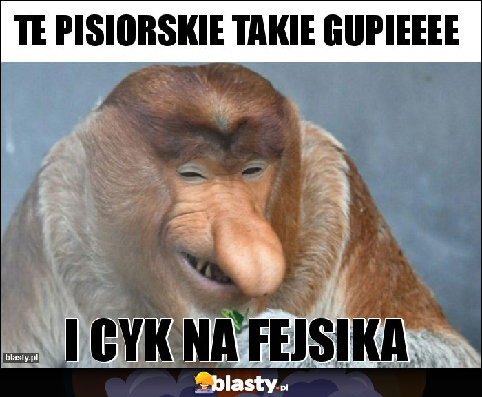 te pisiorskie takie gupieeee te pisiorskie takie gupieeee