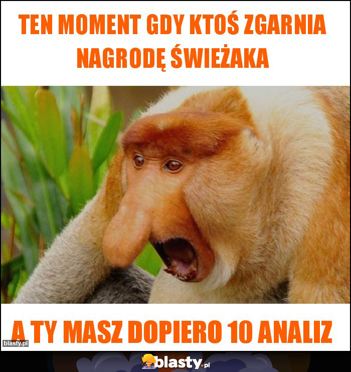 Ten moment gdy ktoś zgarnia nagrodę świeżaka Ten moment gdy ktoś zgarnia nagrodę świeżaka