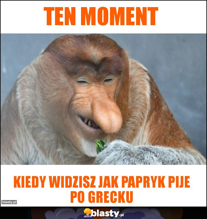 Ten moment Ten moment