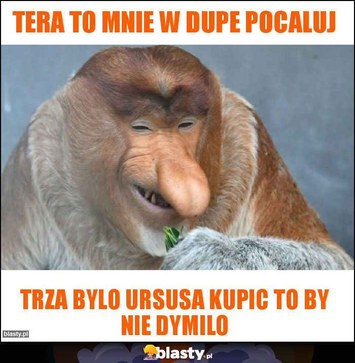 TERA TO MNIE W DUPE POCALUJ TERA TO MNIE W DUPE POCALUJ
