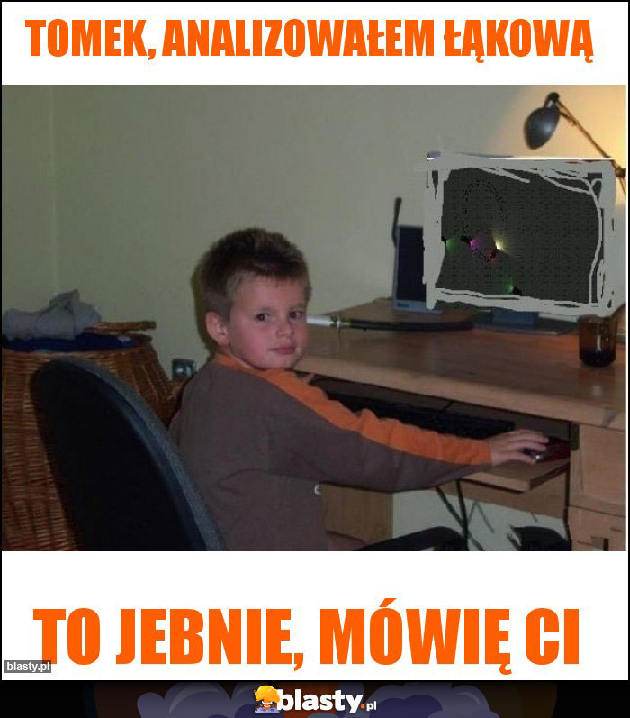 Tomek, analizowałem Łąkową Tomek, analizowałem Łąkową