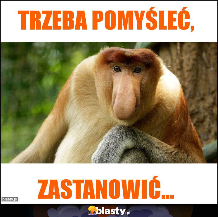 Trzeba pomyśleć, Trzeba pomyśleć,
