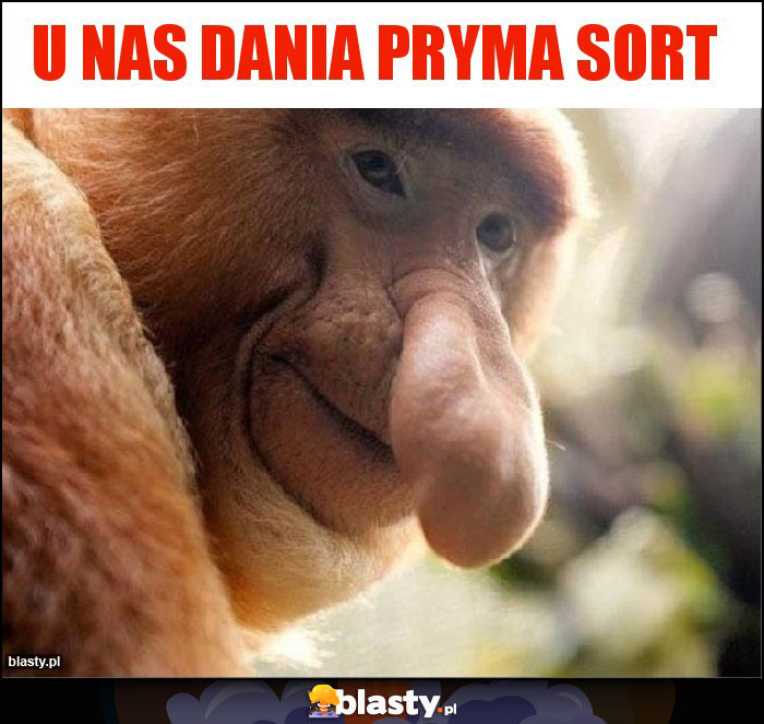u nas dania Pryma sort u nas dania Pryma sort