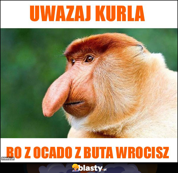 UWAZAJ kurla UWAZAJ kurla