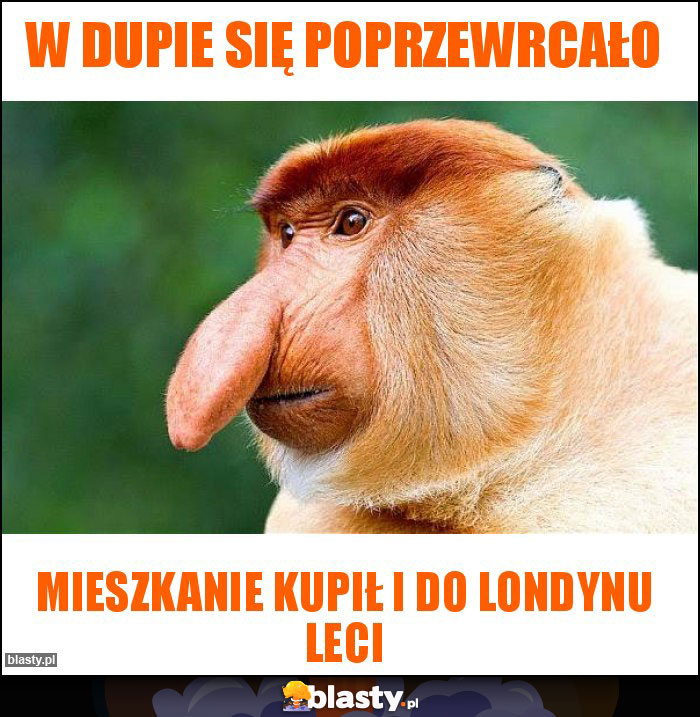 W dupie się poprzewrcało W dupie się poprzewrcało