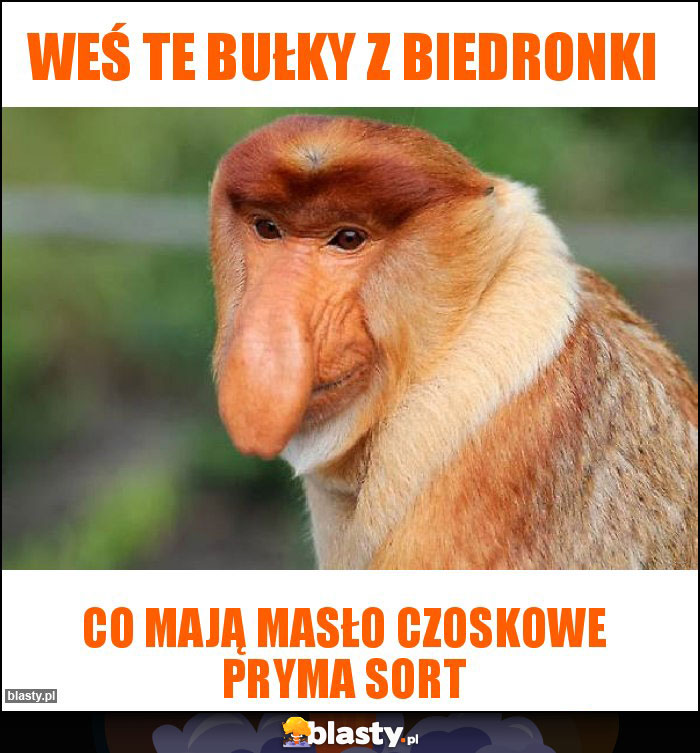 Weś te bułky z biedronki Weś te bułky z biedronki