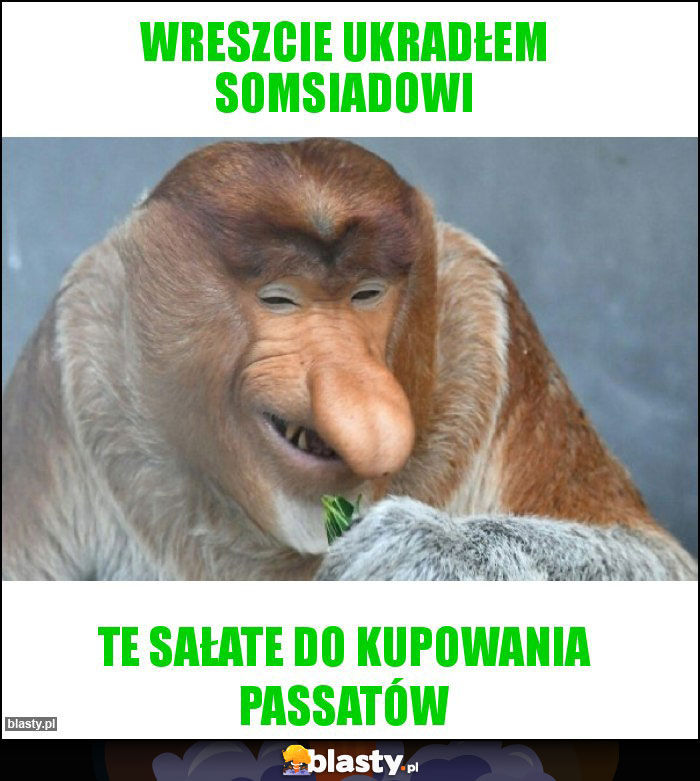 Wreszcie ukradłem somsiadowi Wreszcie ukradłem somsiadowi