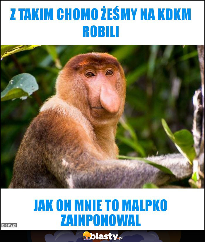 Z takim chomo żeśmy na KDKM robili Z takim chomo żeśmy na KDKM robili