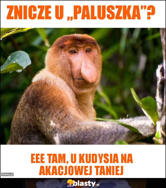 Znicze u „Paluszka”? Znicze u „Paluszka”?