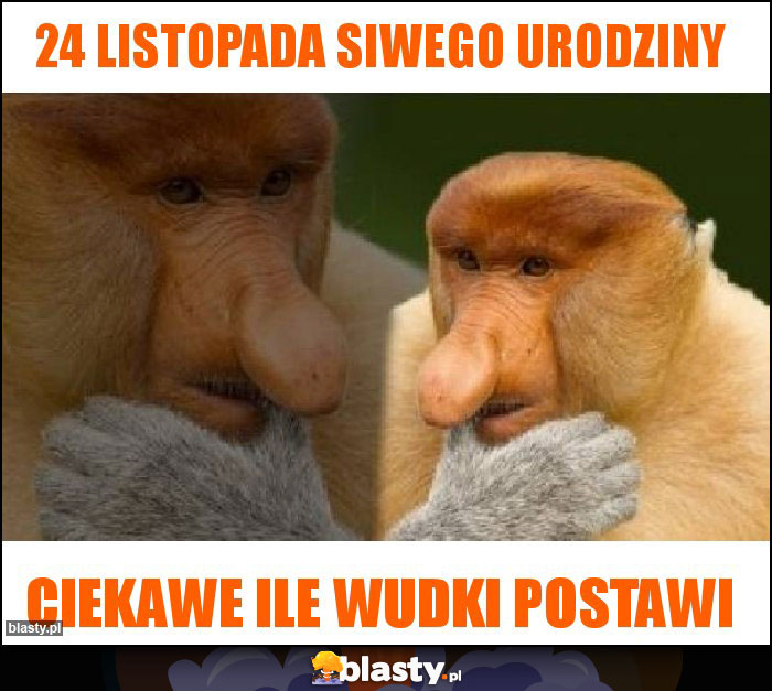24 listopada Siwego urodziny 24 listopada Siwego urodziny