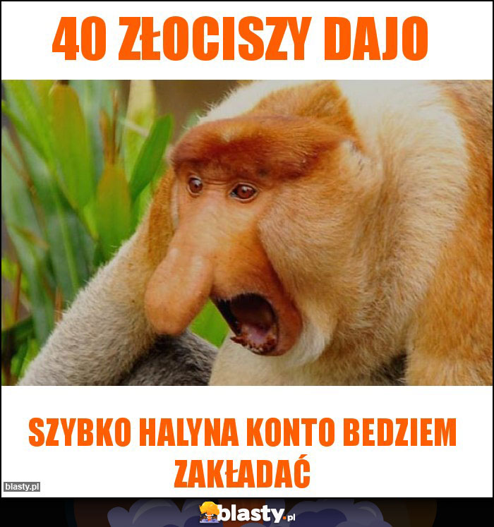 40 złociszy dajo 40 złociszy dajo