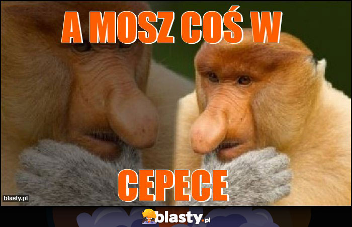 A mosz coś w A mosz coś w