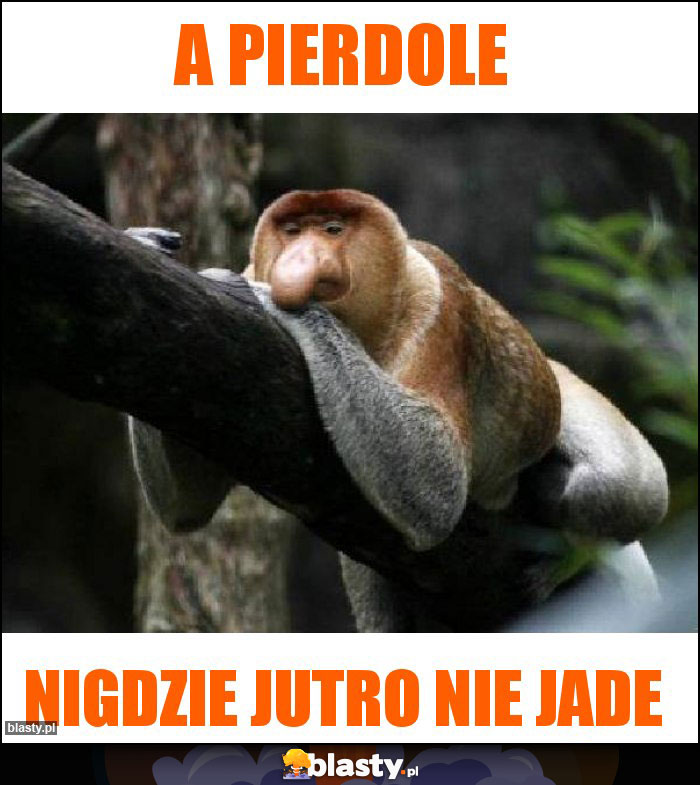 A pierdole A pierdole