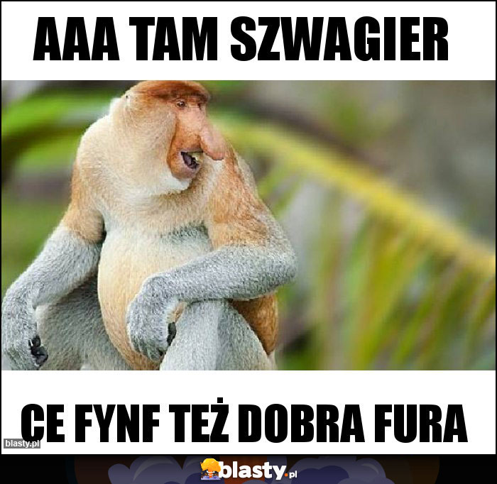Aaa tam Szwagier Aaa tam Szwagier