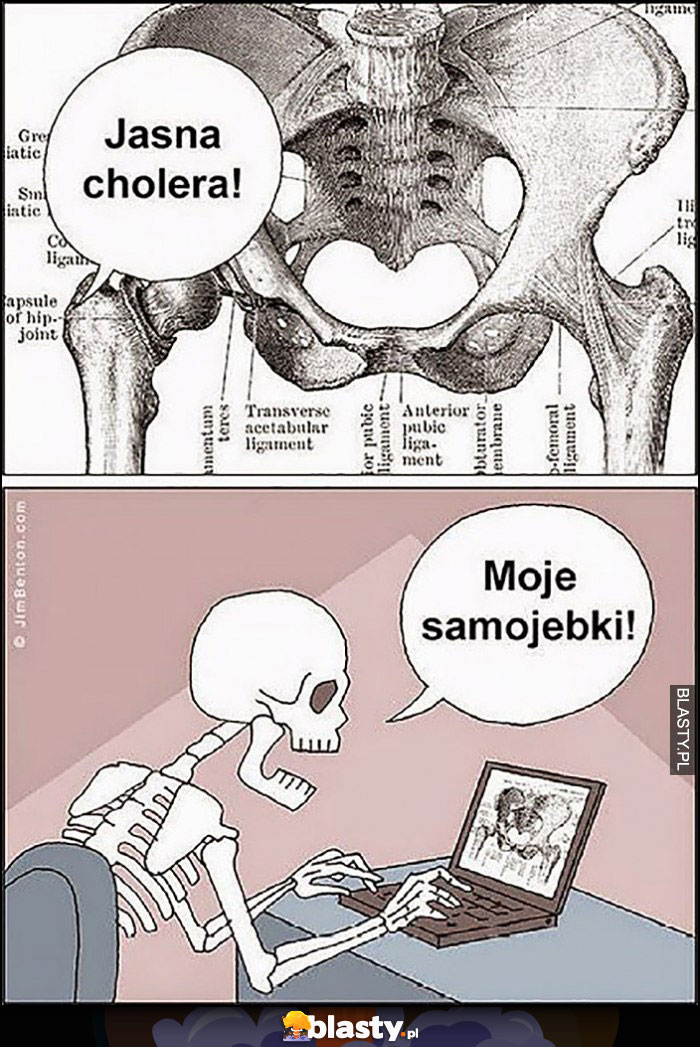 Anatomia prześwietlenie człowieka szkielet moje selfiaki samojebki