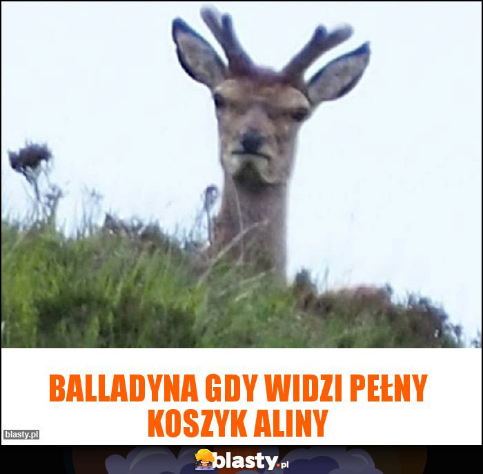 Balladyna gdy widzi pełny koszyk Aliny Balladyna gdy widzi pełny koszyk Aliny