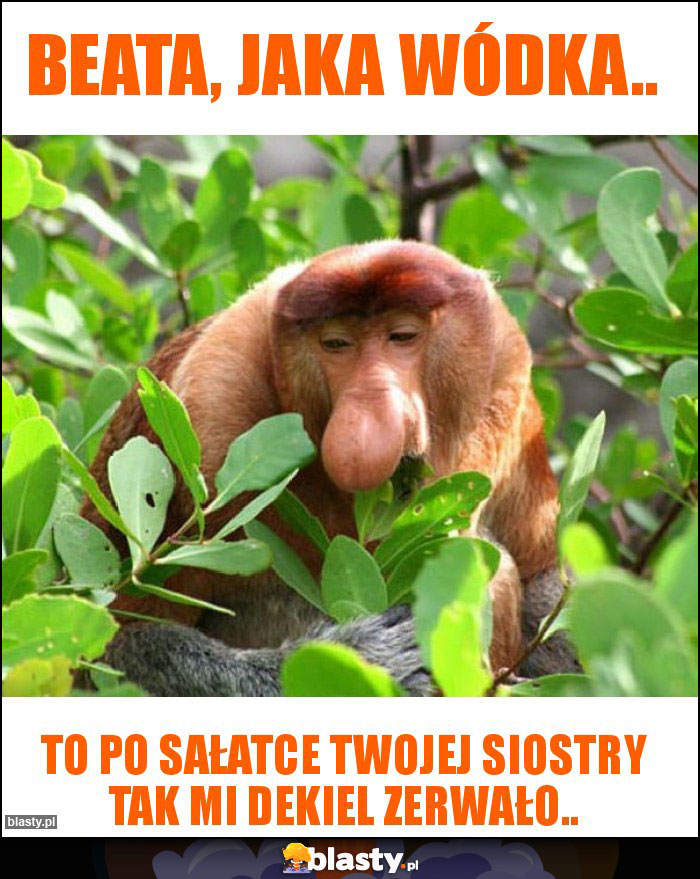Beata, jaka wódka.. Beata, jaka wódka..
