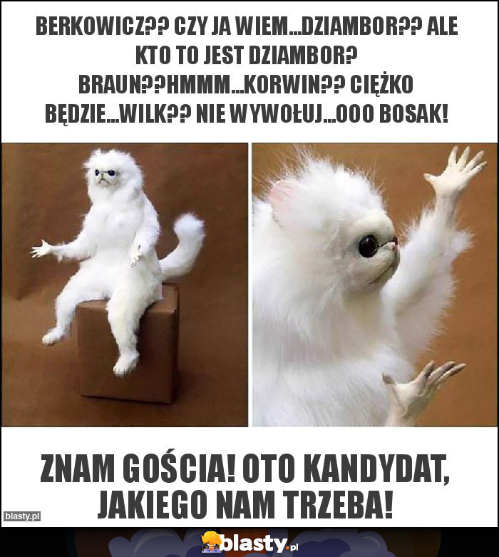 Berkowicz?? Czy ja wiem...Dziambor?? Ale kto to jest Dziambor? Braun??Hmmm...Korwin?? Ciężko będzie...Wilk?? Nie wywołuj...Ooo Bosak! Berkowicz?? Czy ja wiem...Dziambor?? Ale kto to jest Dziambor? Braun??Hmmm...Korwin?? Ciężko będzie...Wilk?? Nie wywołuj...Ooo Bosak!