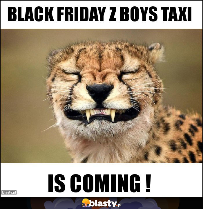 Black Friday z Boys Taxi Black Friday z Boys Taxi
