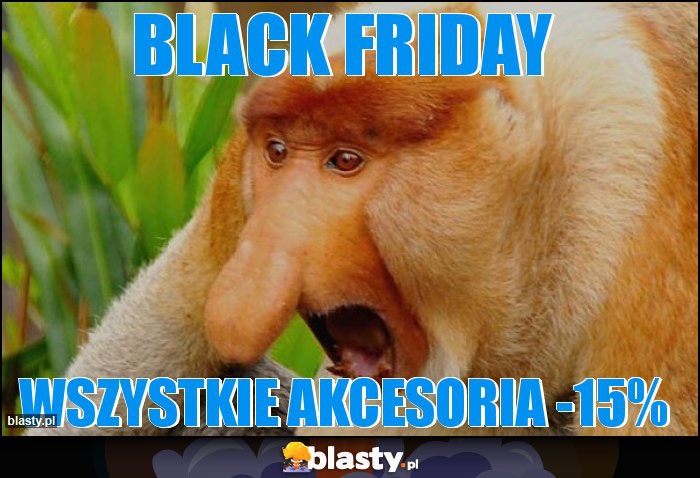 BLACK FRIDAY BLACK FRIDAY