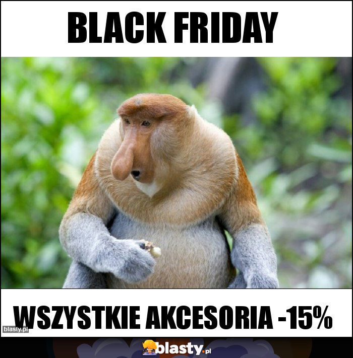 BLACK FRIDAY BLACK FRIDAY