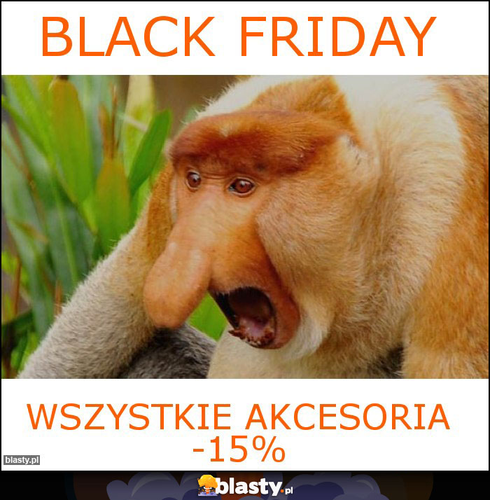 BLACK FRIDAY BLACK FRIDAY