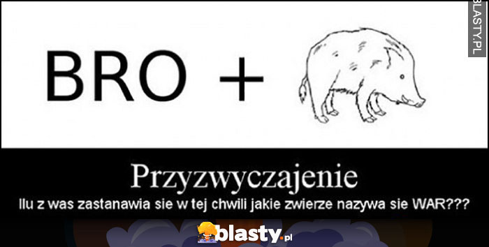 Bro dzik przyzwyczajenie, ilu z was zastanawia się, jakie zwierze nazywa się war browar