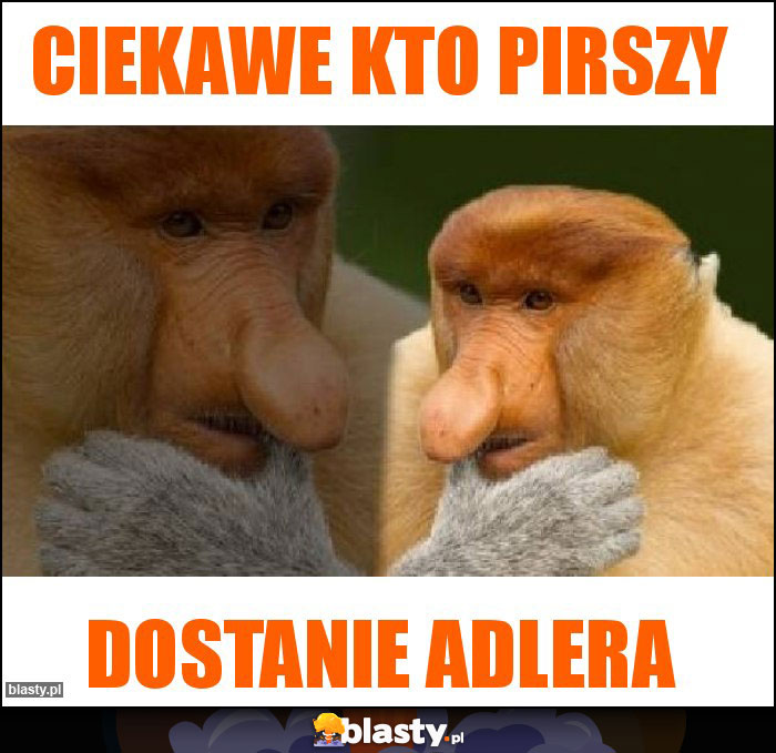 Ciekawe kto pirszy Ciekawe kto pirszy