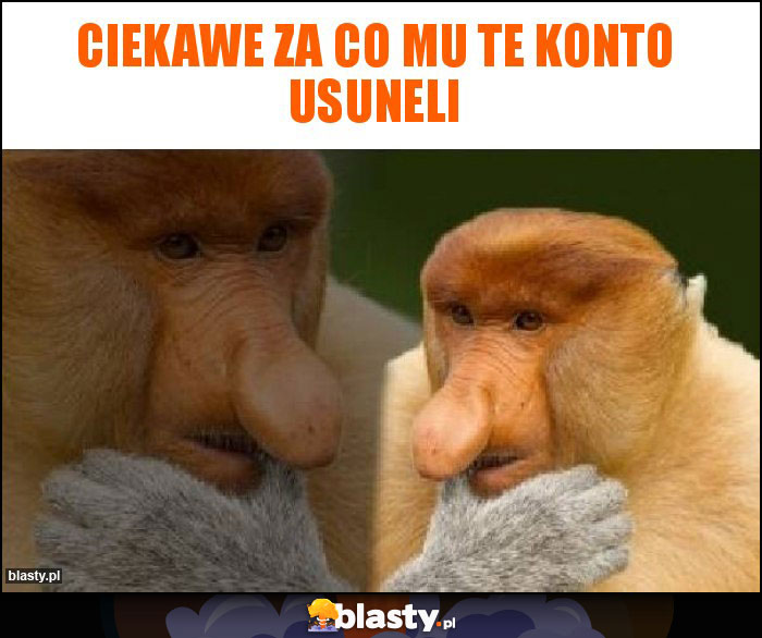 Ciekawe za co mu te konto Usuneli Ciekawe za co mu te konto Usuneli