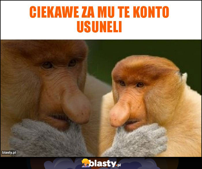 Ciekawe za mu te konto usuneli Ciekawe za mu te konto usuneli
