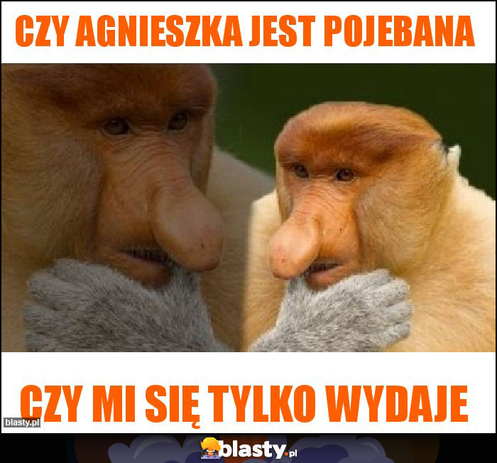 Czy Agnieszka jest pojebana Czy Agnieszka jest pojebana