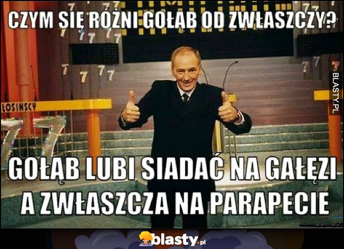 Czym się różni gołąb od zwłaszczy? Gołąb lubi siadać na gałęzi a zwłaszcza na parapecie