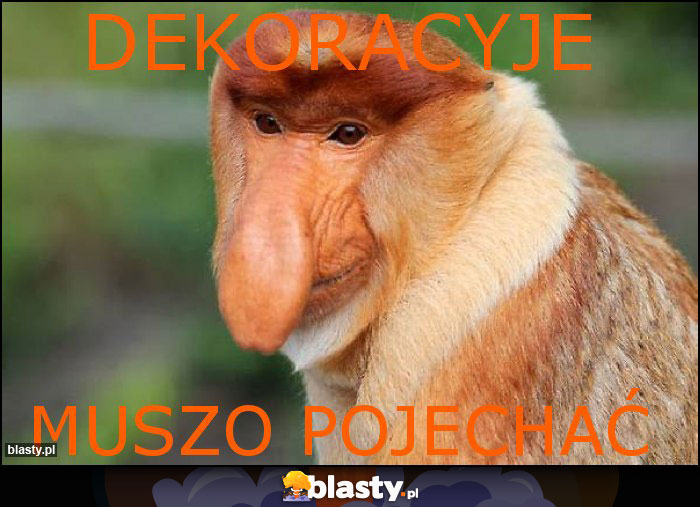 DEKORACYJE DEKORACYJE