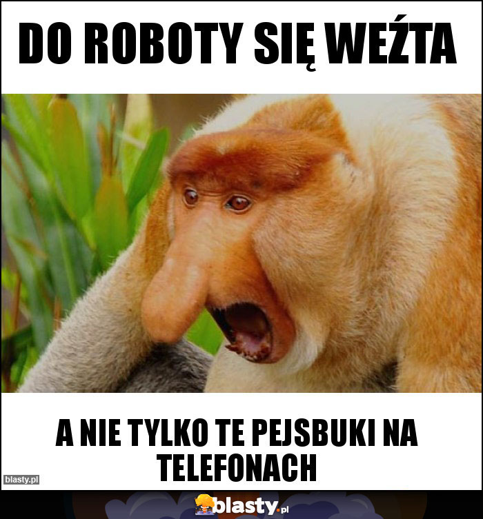 DO ROBOTY SIĘ WEŹTA DO ROBOTY SIĘ WEŹTA