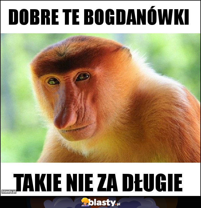 Dobre te bogdanówki Dobre te bogdanówki
