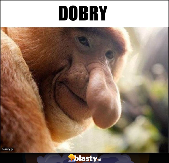 Dobry