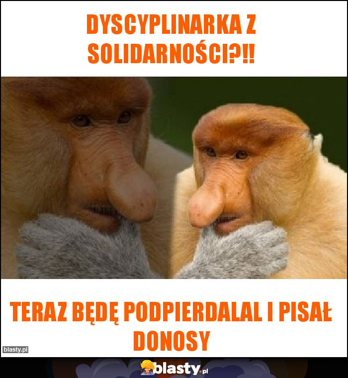 Dyscyplinarka z Solidarności?!! Dyscyplinarka z Solidarności?!!