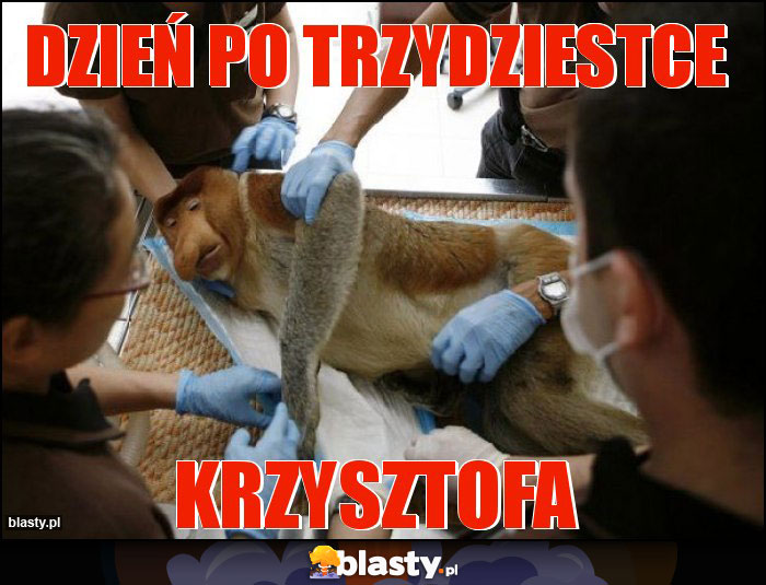 Dzień po trzydziestce Dzień po trzydziestce