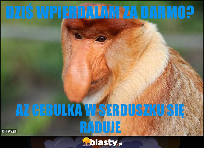 Dziś wpierdalam za darmo? Dziś wpierdalam za darmo?