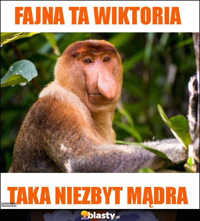 Fajna ta Wiktoria Fajna ta Wiktoria