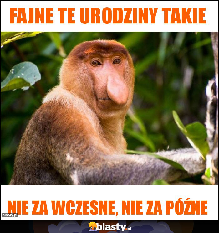 Fajne te urodziny takie Fajne te urodziny takie