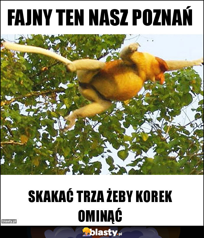 Fajny ten nasz Poznań Fajny ten nasz Poznań