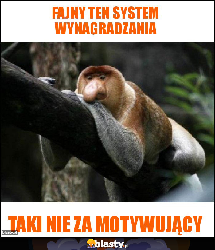 Fajny ten system wynagradzania Fajny ten system wynagradzania