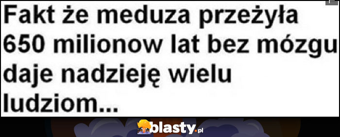 Fakt że meduza przeżyła 650 milionów lat bez mózgu daje nadzieję wielu ludziom