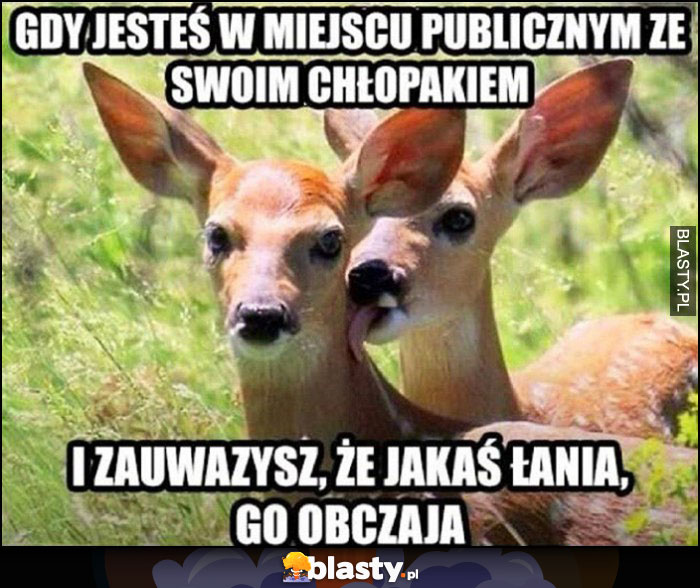 Gdy jesteś w miejscu publicznym ze swoim chłopakiem i zauważysz, że jakaś łania go obczaja sarna liże