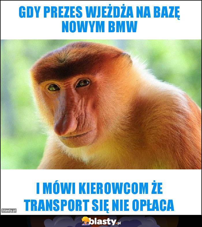 Gdy prezes wjeżdża na bazę nowym BMW