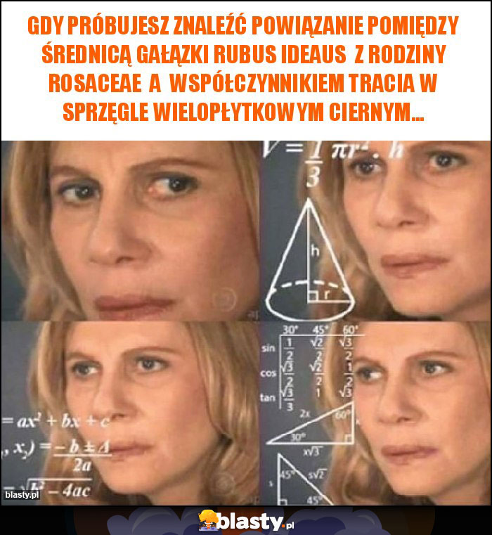 gdy próbujesz znaleźć powiązanie pomiędzy średnicą gałązki Rubus ideaus  z rodziny Rosaceae  a  współczynnikiem tracia w sprzęgle wielopłytkowym ciernym...