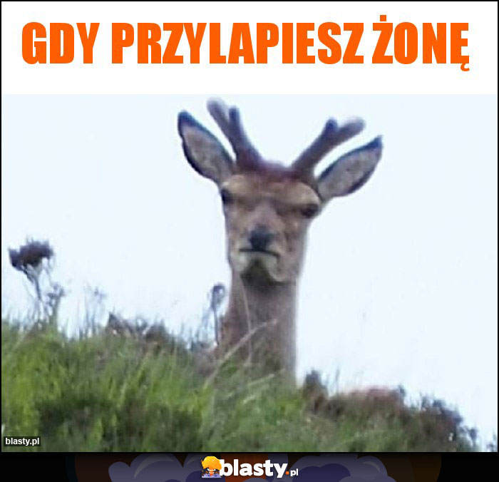 Gdy przylapiesz żonę Gdy przylapiesz żonę