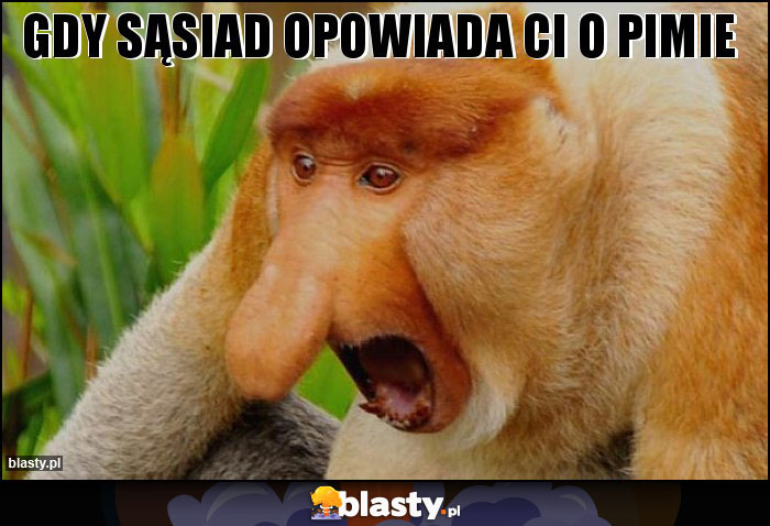 Gdy sąsiad opowiada Ci o PIMie Gdy sąsiad opowiada Ci o PIMie